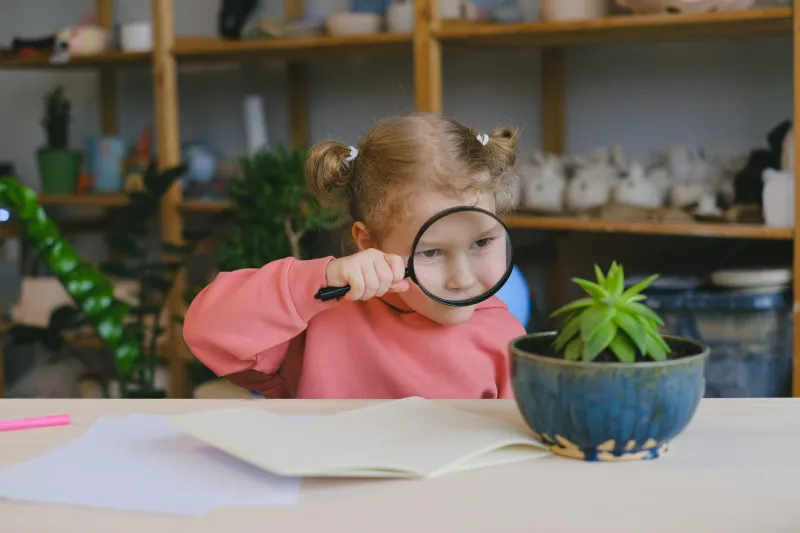 Detectives of Language: Unlocking Academic Success Through Etymology Adventures in KS2